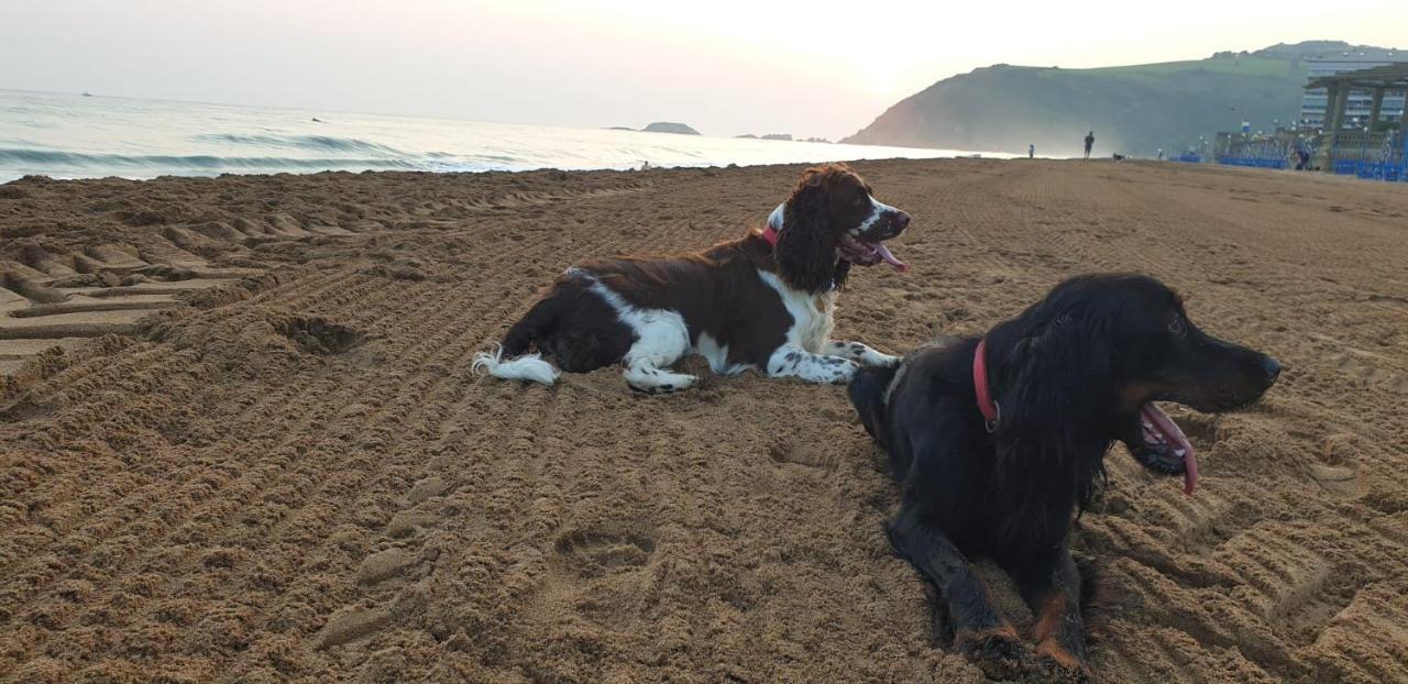 Amplio Piso En La Playa De 135 M2 Con Garaje Διαμέρισμα Zarautz Εξωτερικό φωτογραφία